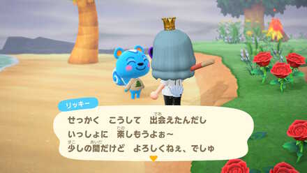 離島ツアーで勧誘する