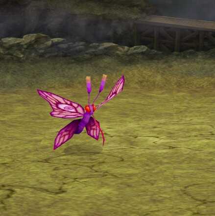 フライングアイの画像