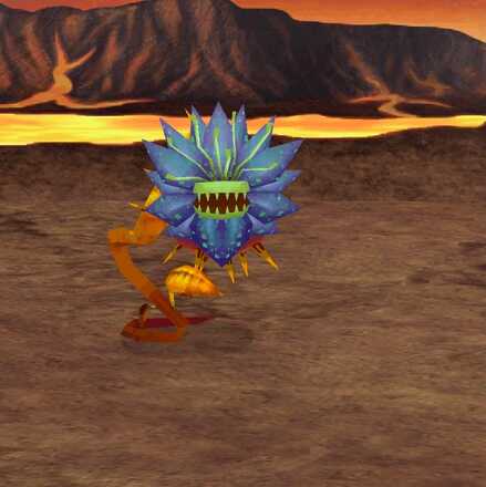 ブラッドフラワの画像