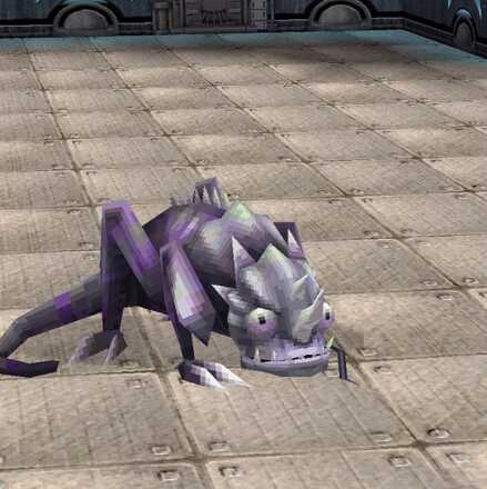 黒とかげの画像