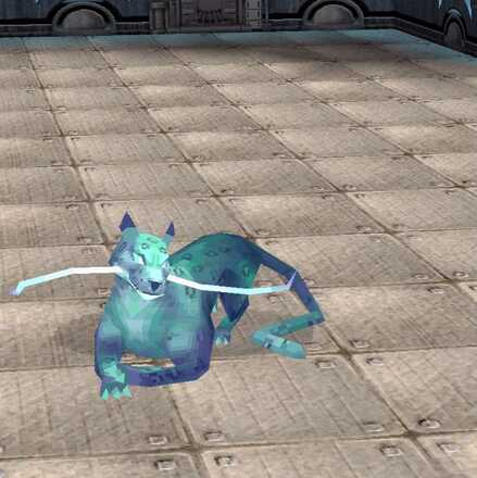 クアールの画像