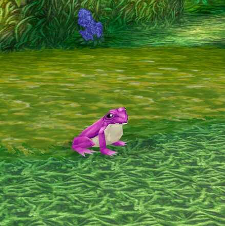 トーディトードの画像