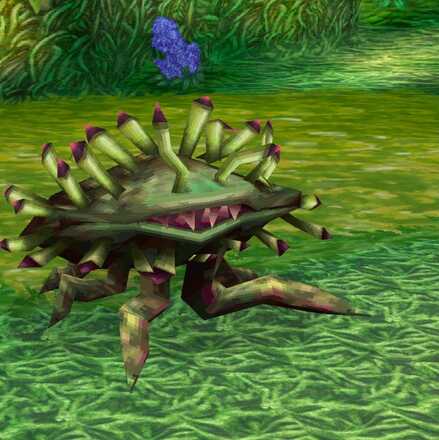 モルボルの画像