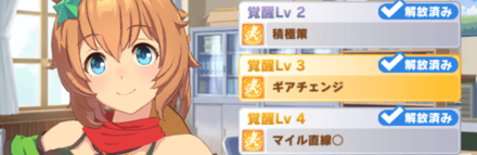 覚醒Lv上げの必要は無い