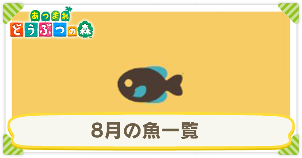 8月の魚一覧