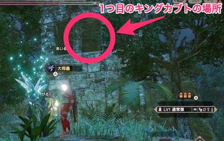 キングカブト大翔蟲