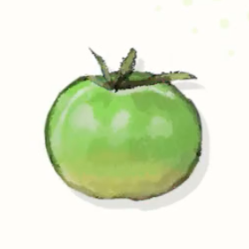 青トマト画像