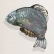 アブラボテ画像