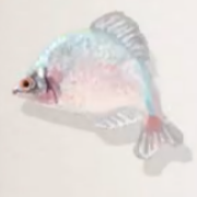 ニッポンバラタナゴ画像