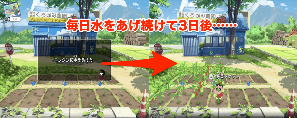 毎日水を上げ続けて野菜を育てる