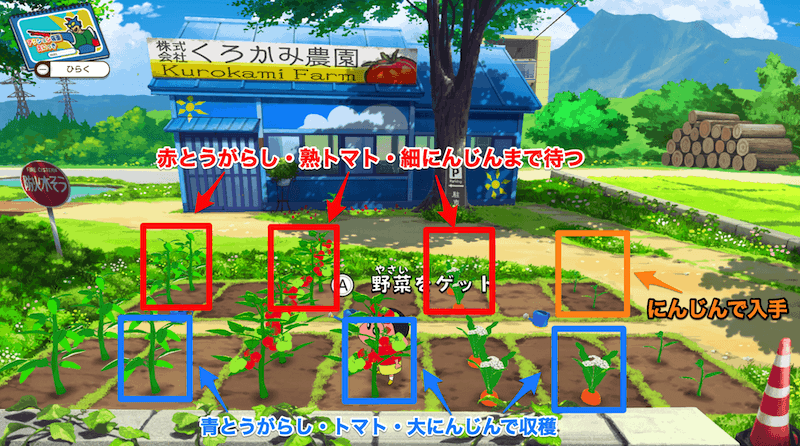 収穫する際は一気に回収しない