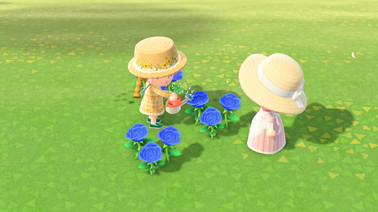 他の島民に水やりしてもらう