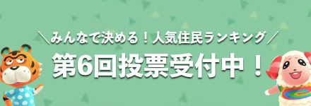 第6回投票.png