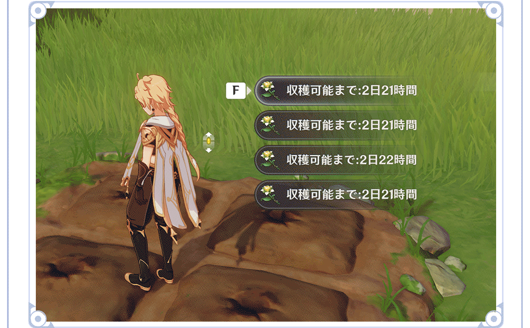 種を植える