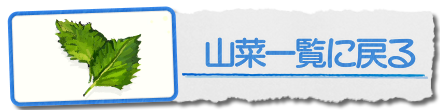 山菜一覧に戻る