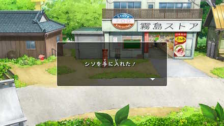 山菜は目にしたら採取しよう