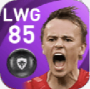 FPミケル・ダムスゴー(7/15)の画像