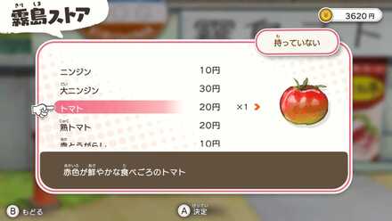 お小遣いが貯まるまでは野菜が最優先