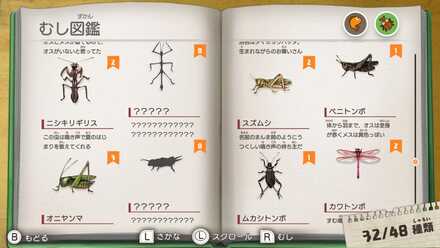 虫や魚を欠かさず採集する