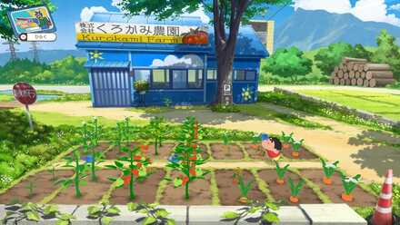 毎日野菜に水をあげよう