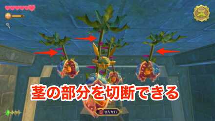 デクババの攻撃箇所