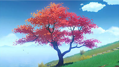 羽団扇楓の木から入手