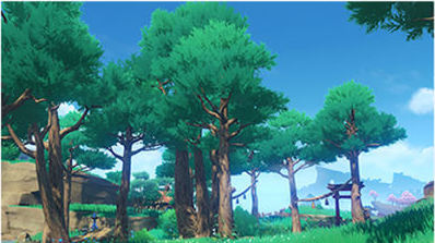 柳杉の木から入手