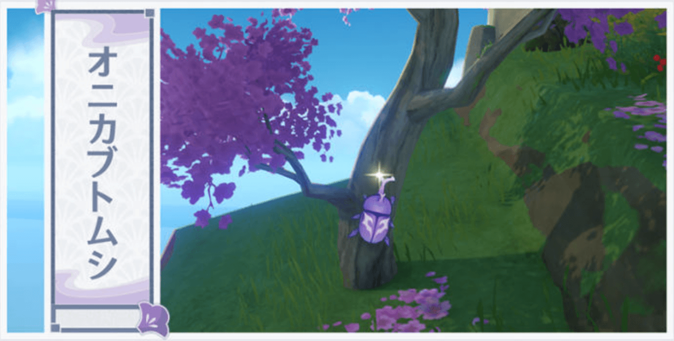 オニカブトムシ