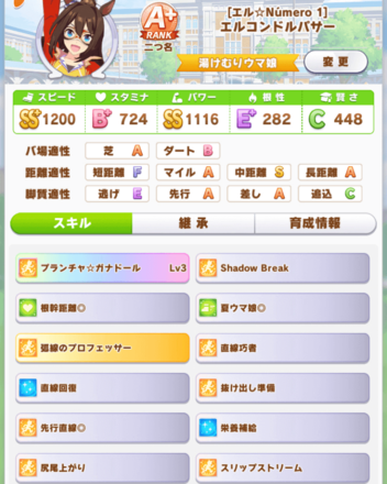 完成エルコンドルパサー