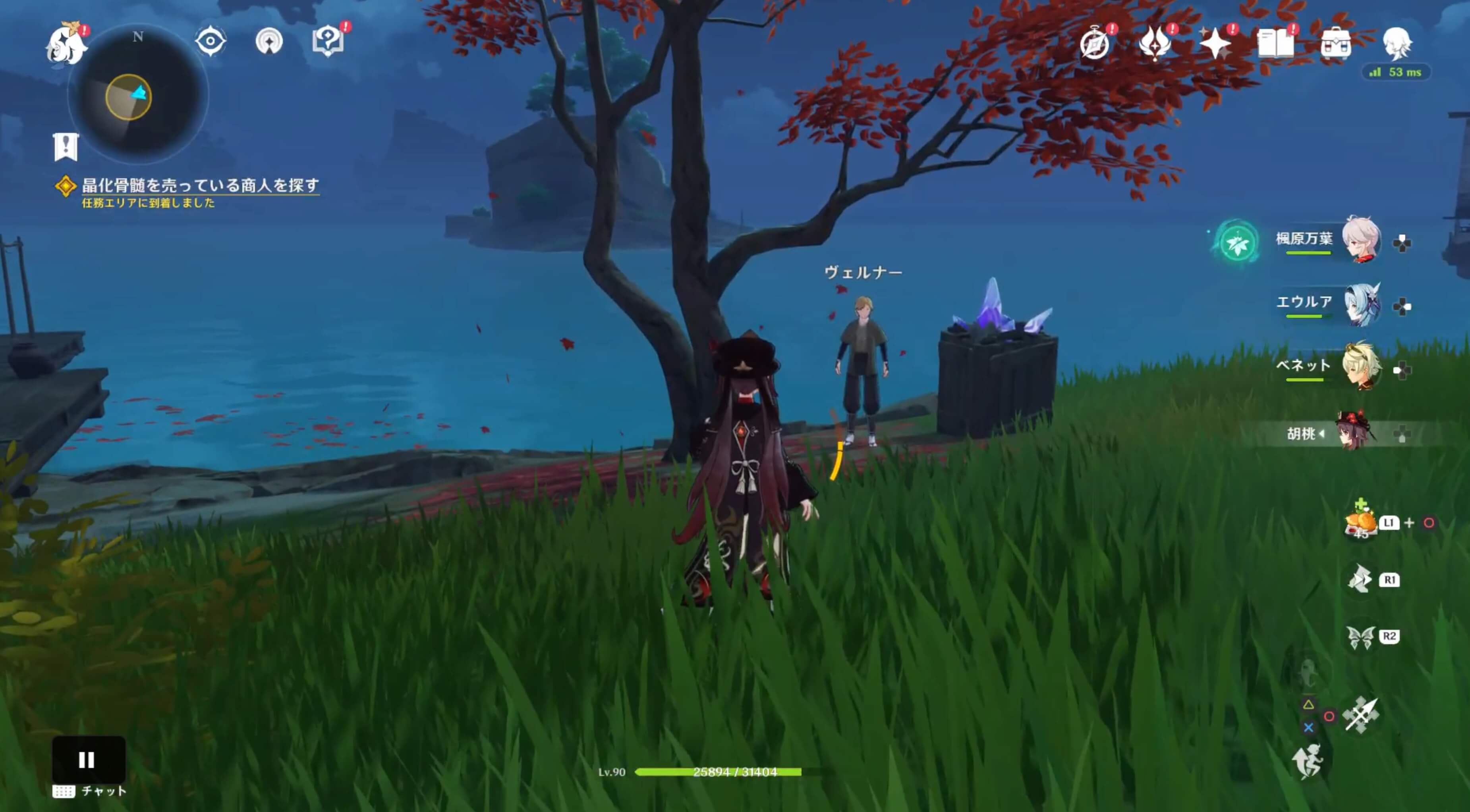 晶化骨髄を売っている商人を探す