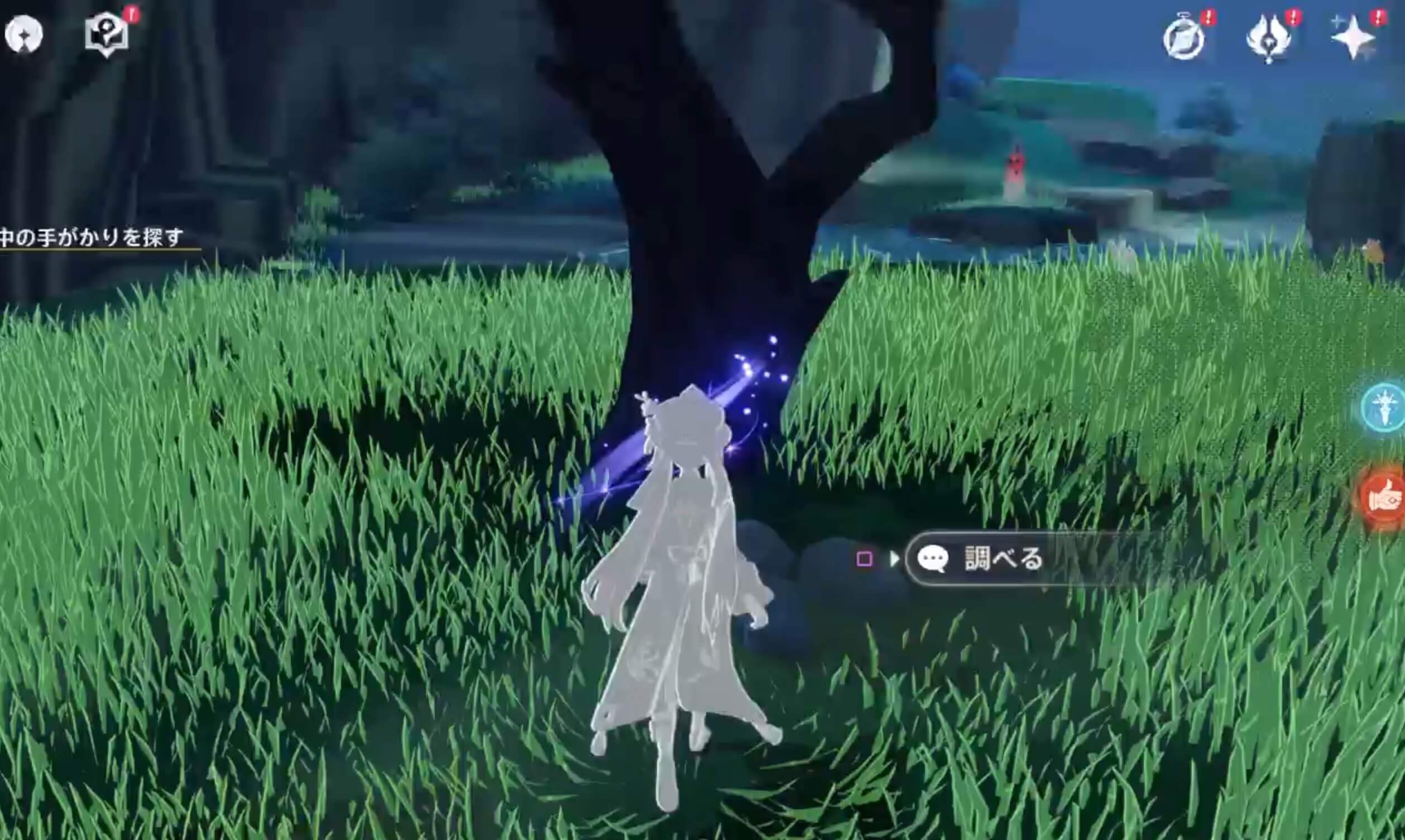 木の下を調べる