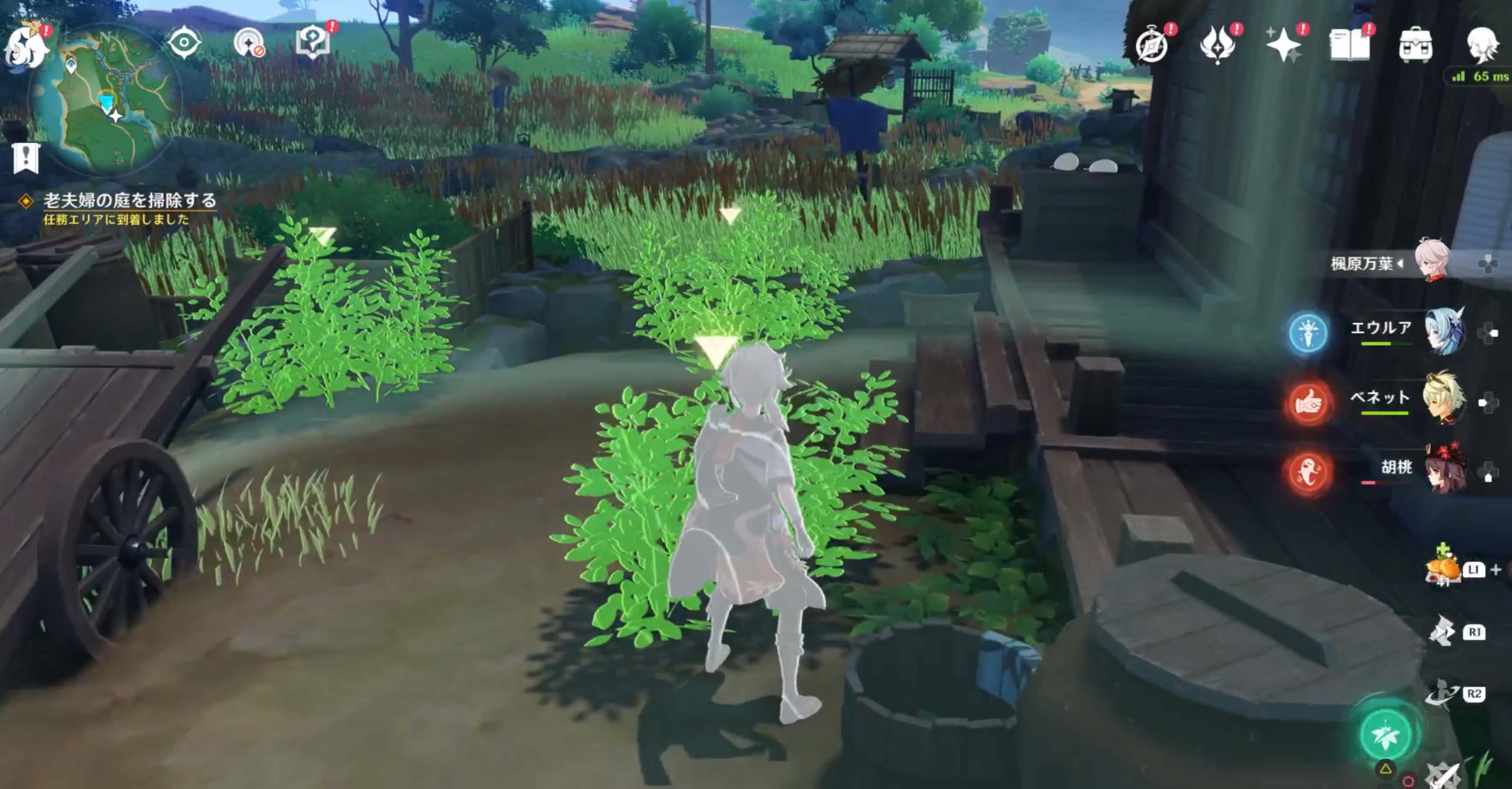 老夫婦の庭の草は合計で7箇所