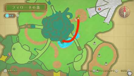 大樹の中へのルート