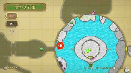 ハスの葉の位置