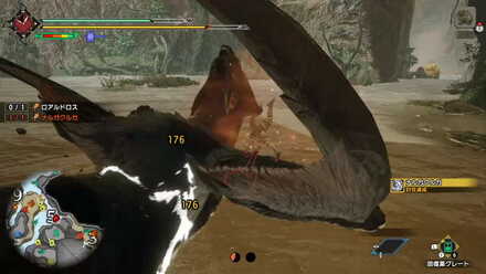 ナルガクルガを討伐