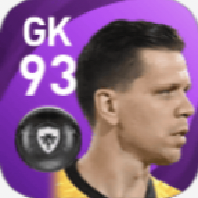 FPヴォイツェフ・シュチェスニ(7/29)の画像