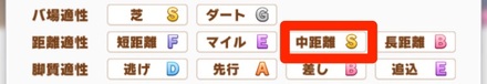 中距離Sを目指す