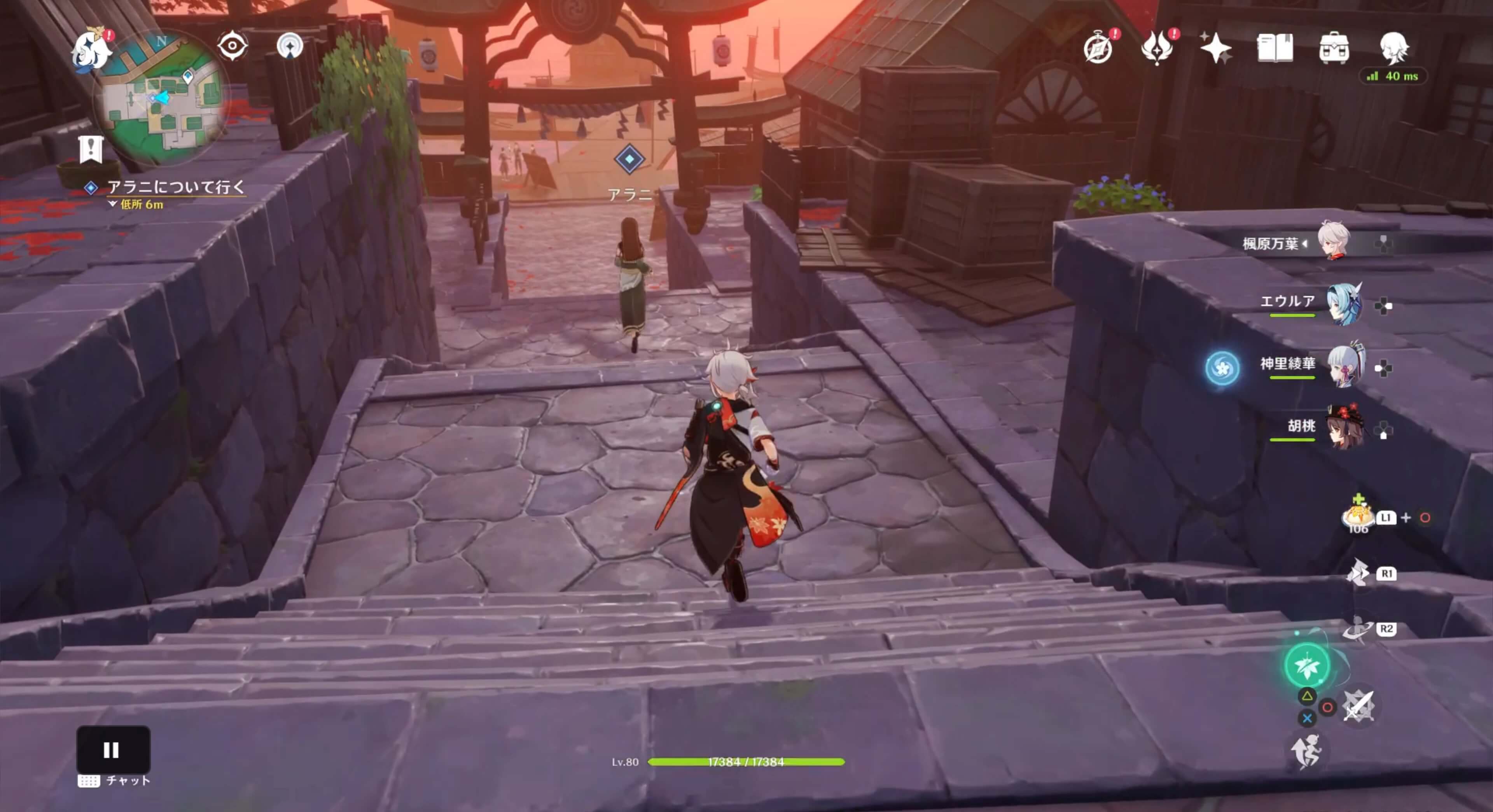 アラニについて行く