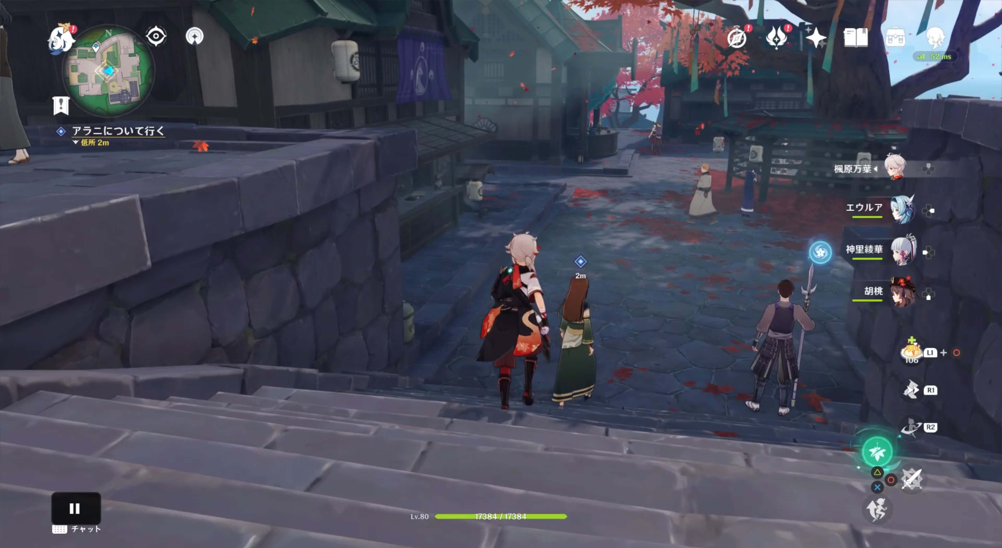 アラニについて行く