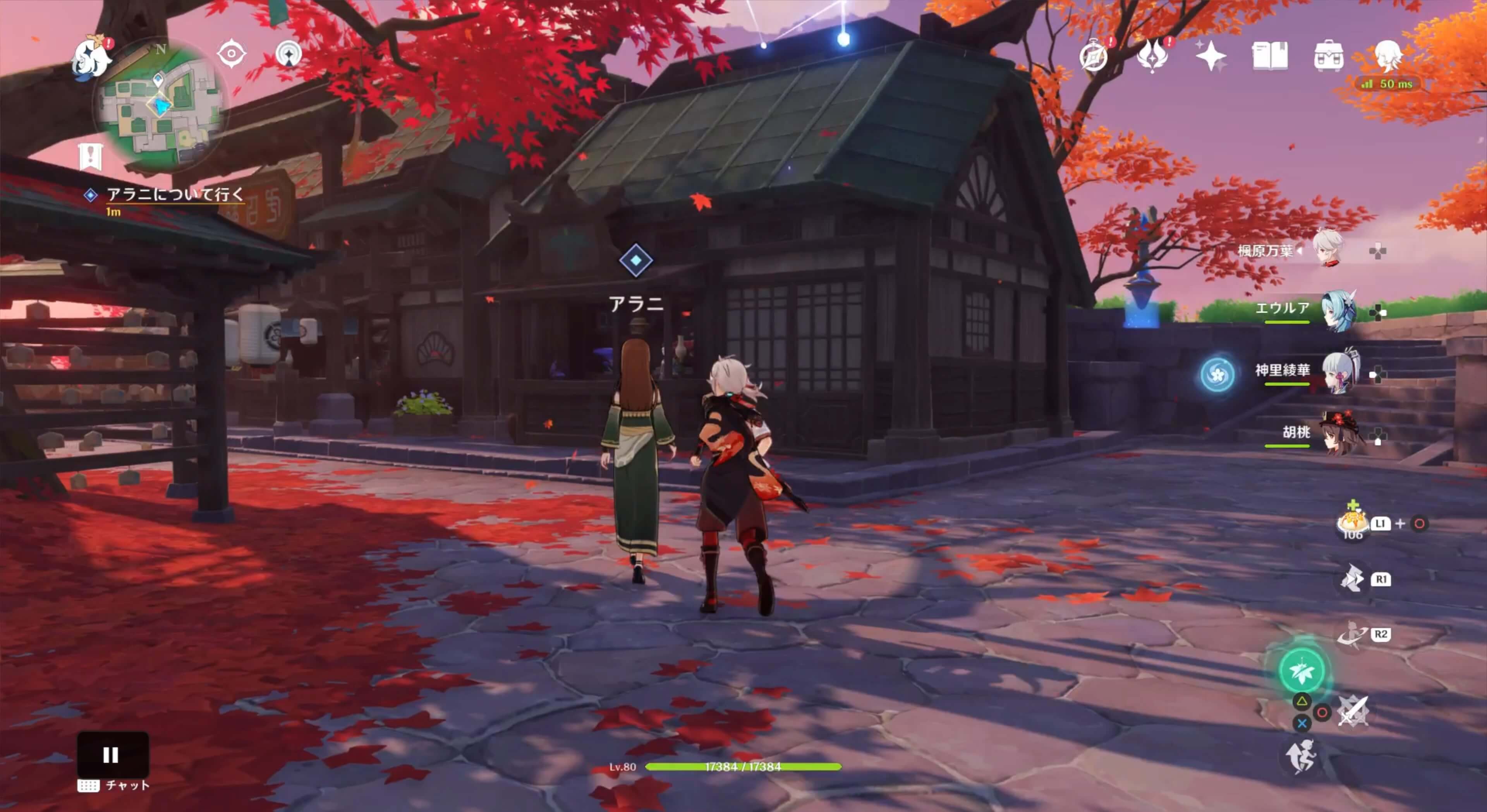 アラニについて行く