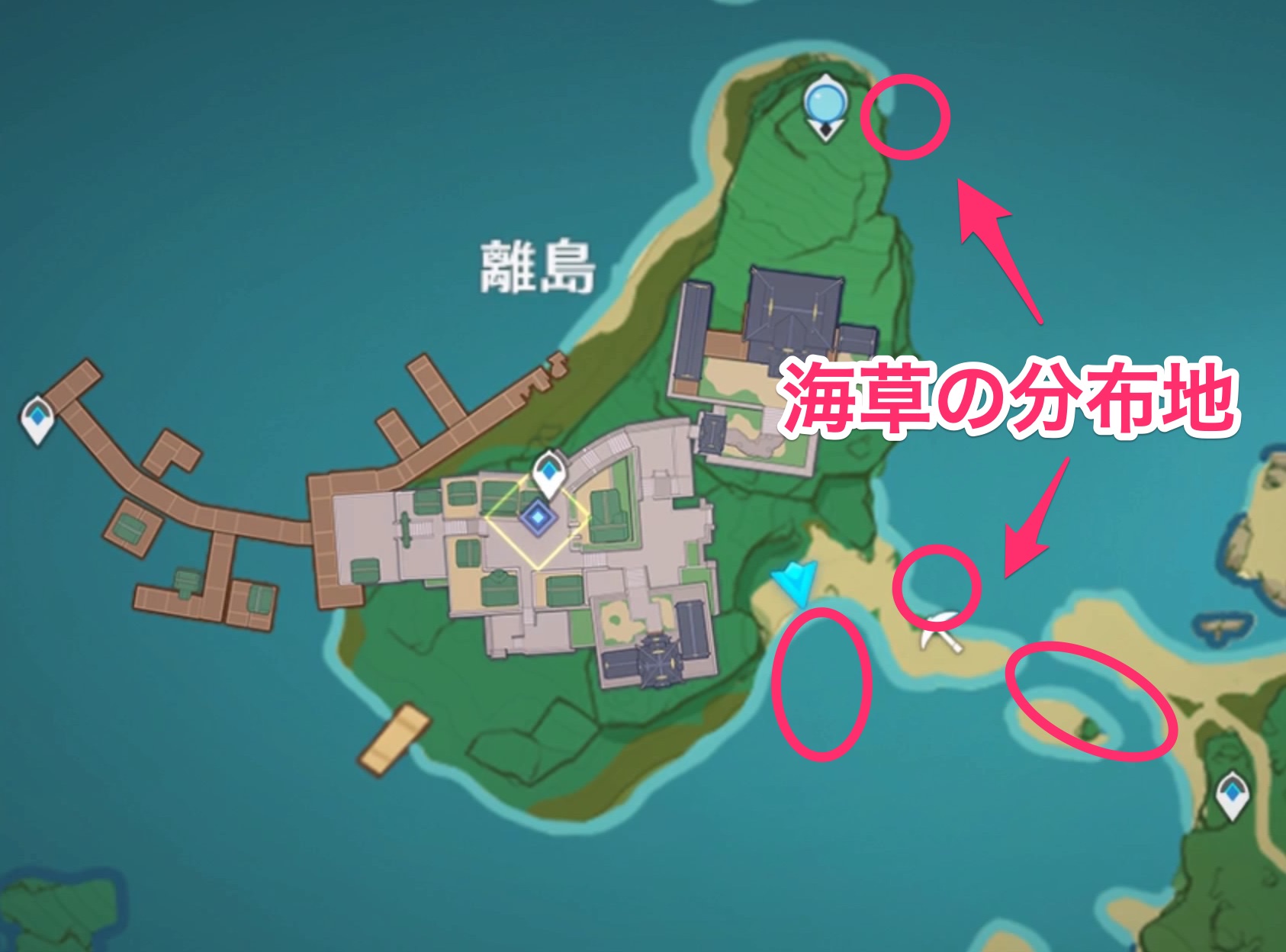 海草は離島の海岸にある