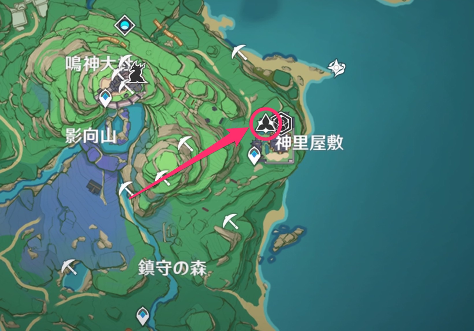 栽培の方法の場所