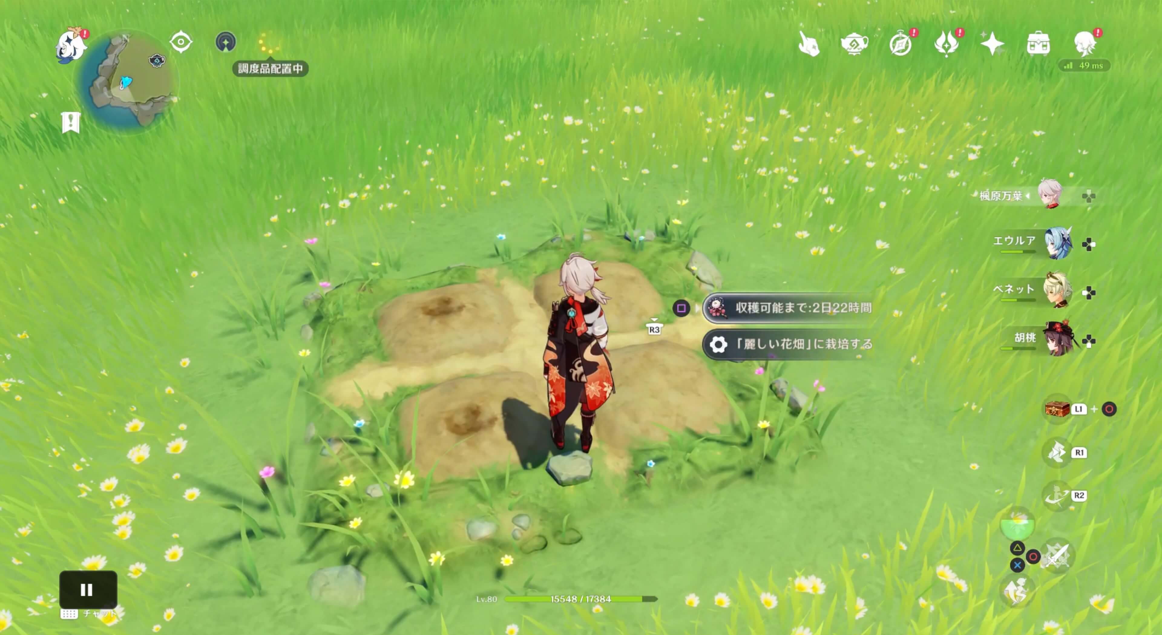 塵歌壺で栽培可能