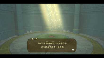 苗を植える場所