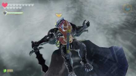 体力を減らし、とどめを刺す