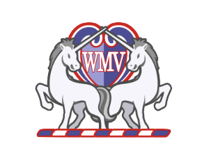 アストンヴィラFC