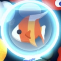 お魚ミッションの画像