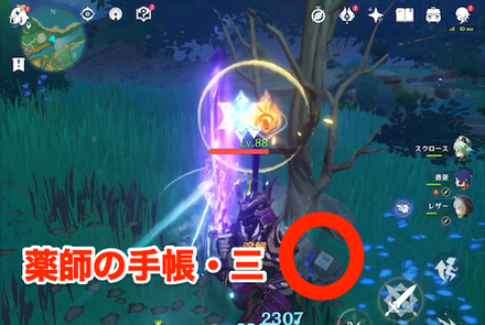 薬師の手帳・三の場所