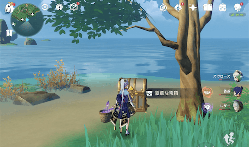 手帳を3つゲット後にヤシオリ島南で豪華な宝箱が入手