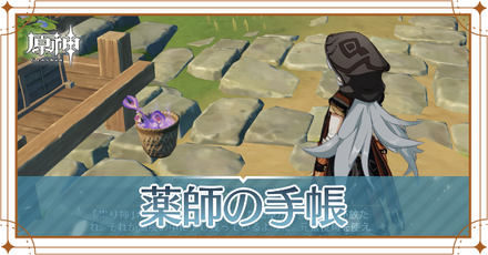 薬師の手帳の場所と入手条件